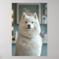 Salon pour animaux de compagnie Boutique White Hus