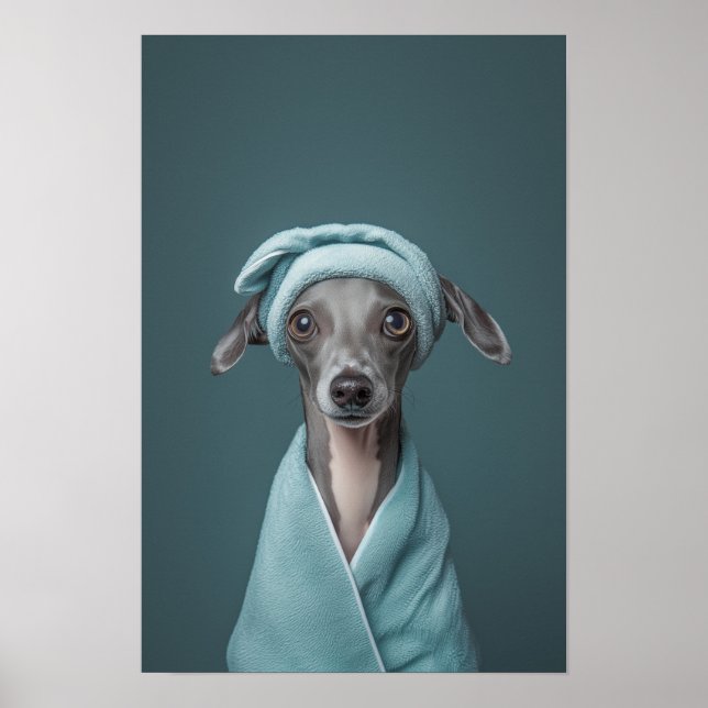 Affiche Salon pour animaux de compagnie Italien Greyhound  (Devant)