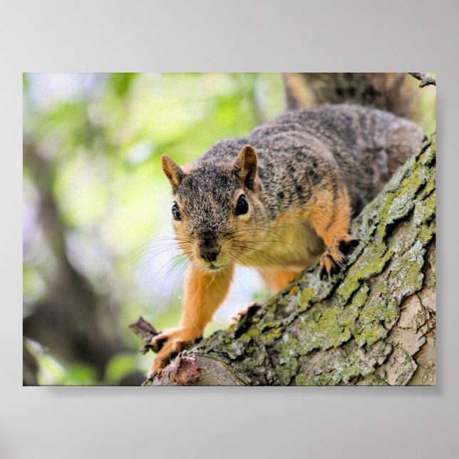 Affiche Salut (Devant)