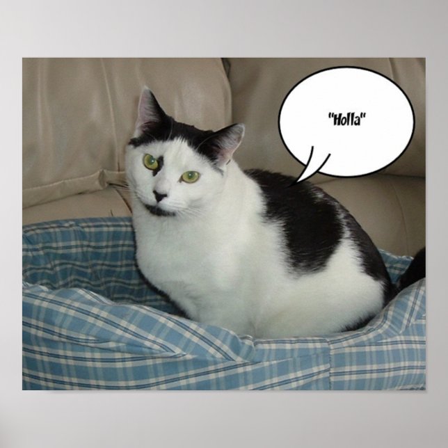 Affiche Salut!/Bonjour (Devant)