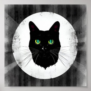 Affiche Salut ! Chat !