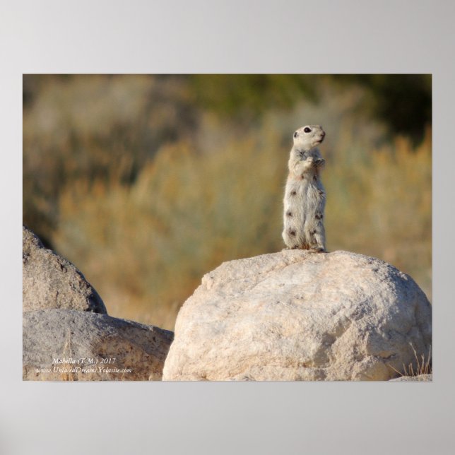 Affiche Salutations amicales (Devant)