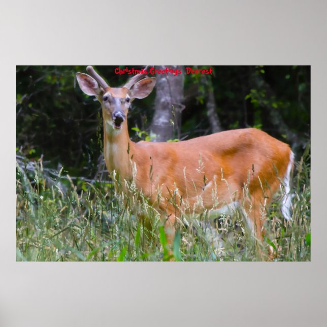 Affiche Salutations de Noël (Devant)