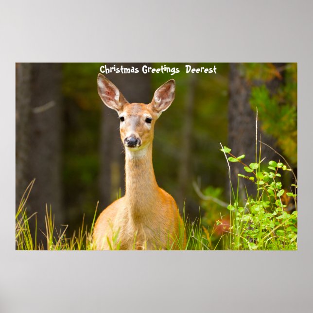 Affiche Salutations de Noël (Devant)