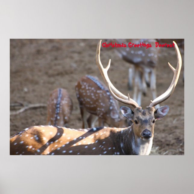 Affiche Salutations de Noël (Devant)