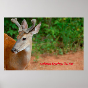 Affiche Salutations de Noël