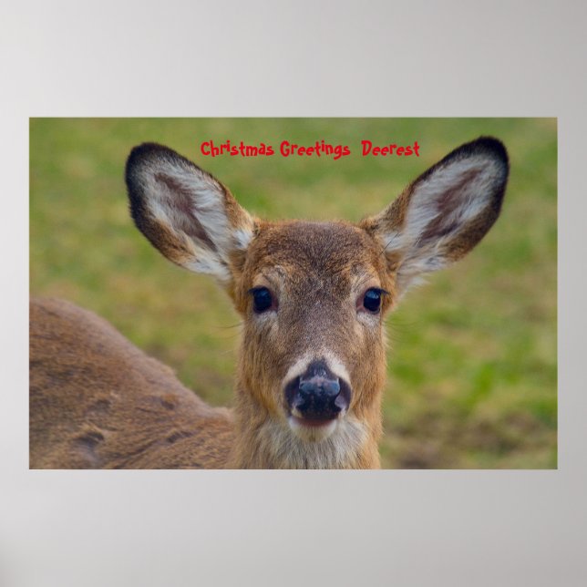 Affiche Salutations de Noël (Devant)