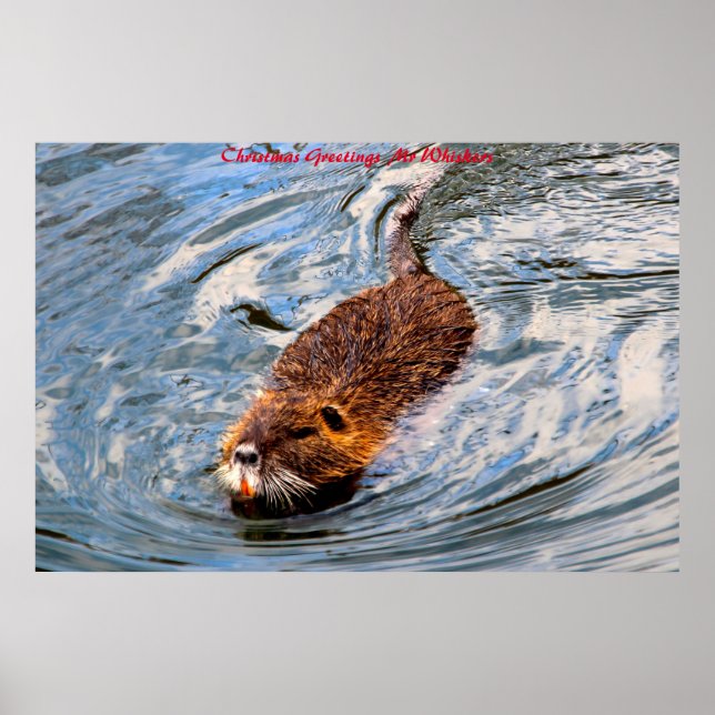 Affiche Salutations de Noël M. Whiskers (Devant)