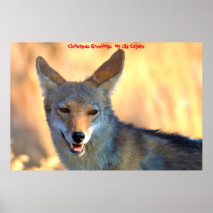 Affiche Salutations de Noël Mon Vieux Coyote