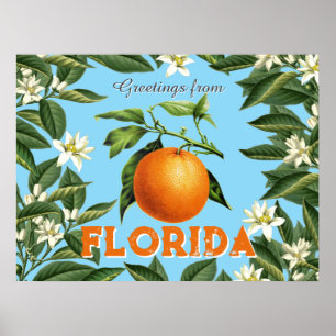 Affiche Salutations Rétro Vintage de Floride Orange Fruit