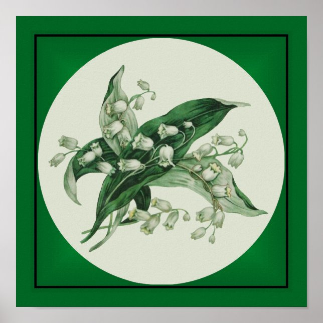 Affiche Samantha Lily 1 (Devant)