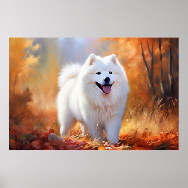 Affiche Samoyed (Devant)