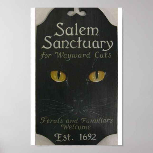 Affiche Sanctuaire de Salem (Devant)