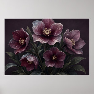 Affiche Sanctuaire Floraison de Givre Hellebore d'Hiver Af