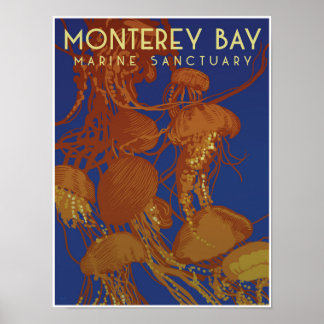 Affiche Sanctuaire marin de la baie de Monterey; méduses