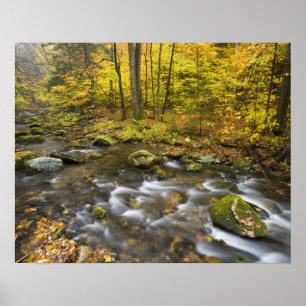 Affiche Sanderson Brook. Forêt d'État de Chester-Blanford.