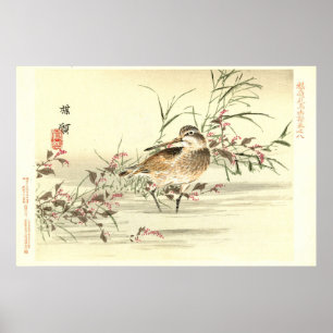 Affiche Sandpiper Dans L'Eau Vintage Art Oriental Japonais