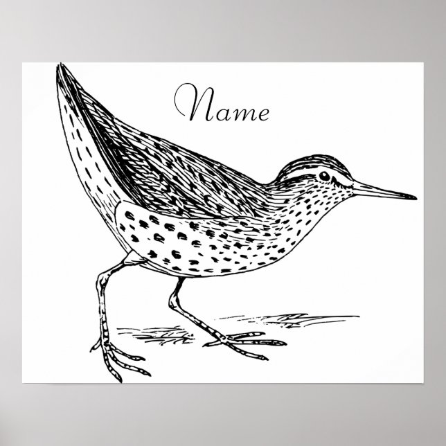 Affiche Sandpiper Shorer Thunder_Cove (Devant)