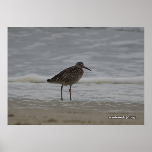 Affiche Sandpiper V (Devant)