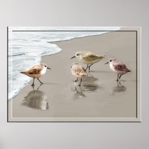 Affiche Sandpipers au bord du rivage