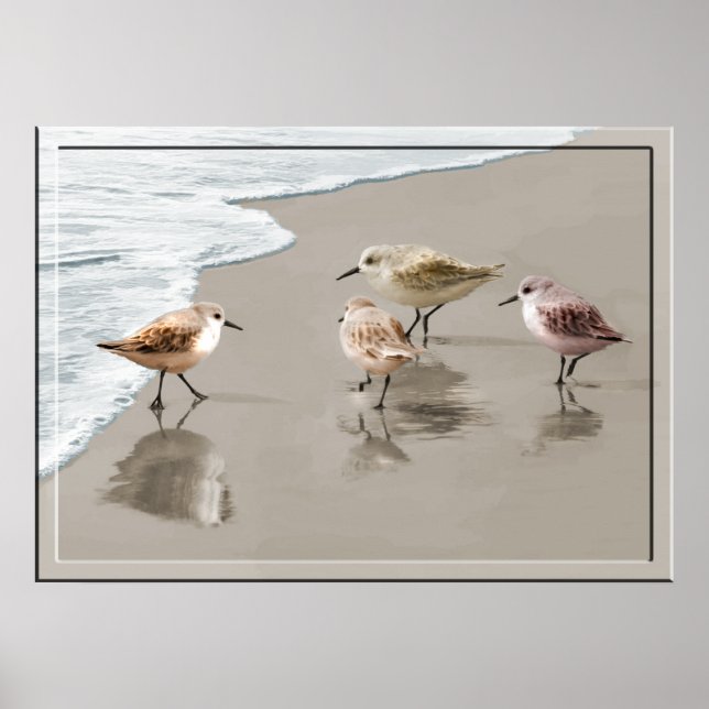 Affiche Sandpipers au bord du rivage (Devant)