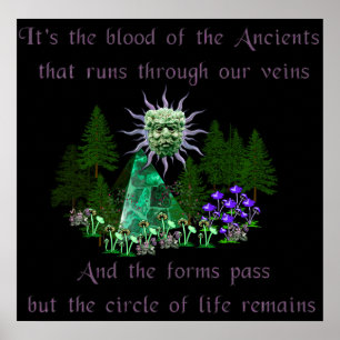 Affiche Sang des ancients