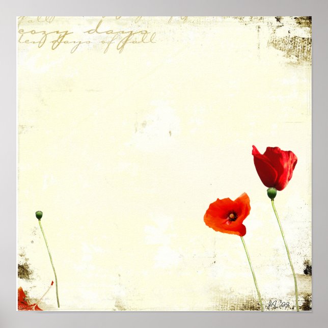 Affiche sans titre (Devant)