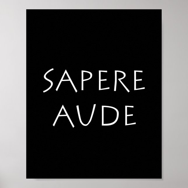 Affiche Sapere aude (Devant)
