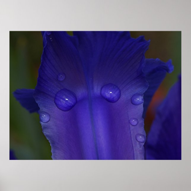 Affiche Sapphire Serenity  (Devant)