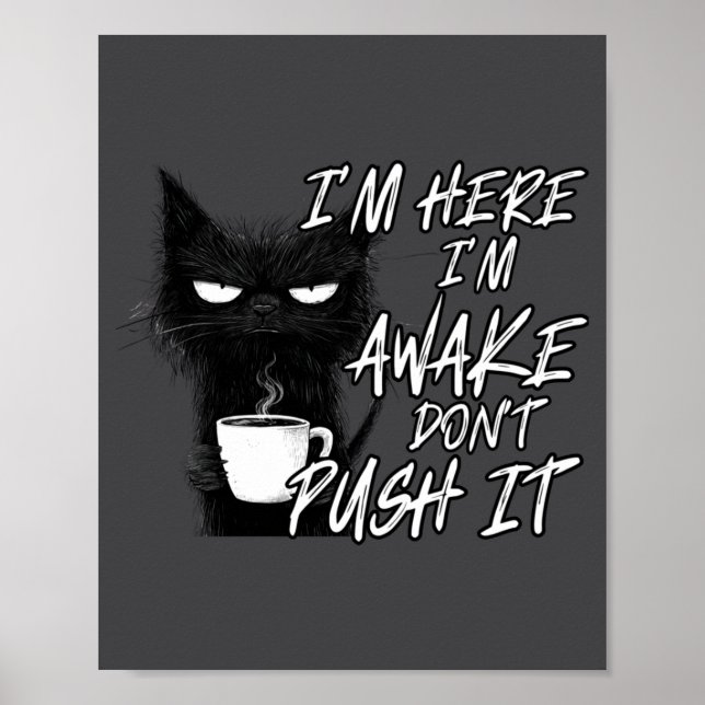 Affiche Sarcastic Cat Funny Cat I'm Here I'm Awake Don't P (Devant)