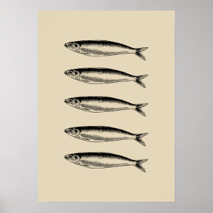Affiche Sardines