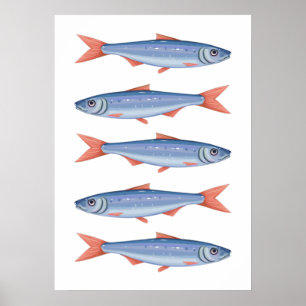 Affiche Sardines