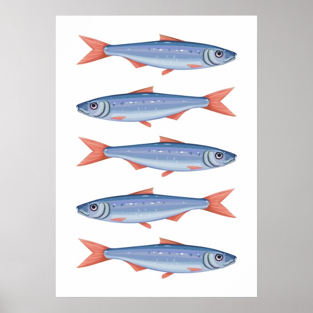 Affiche Sardines (Devant)