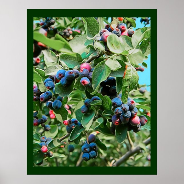 Affiche Saskatoon (Devant)