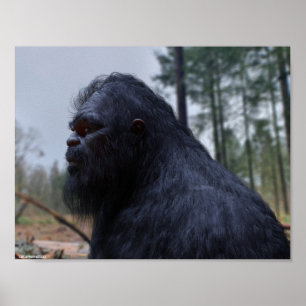 Affiche sasquatch bigfoot