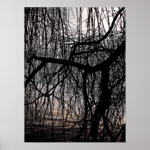 AFFICHE SAULE PLEUREUR D'HIVER