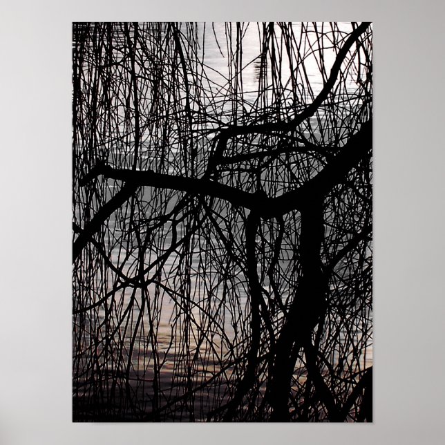 AFFICHE SAULE PLEUREUR D'HIVER (Devant)