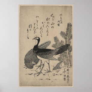 Affiche Saumon et pin