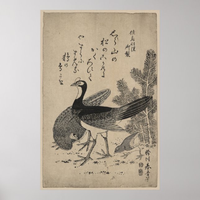 Affiche Saumon et pin (Devant)