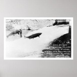Affiche Saumon Jumping Alaska 1907