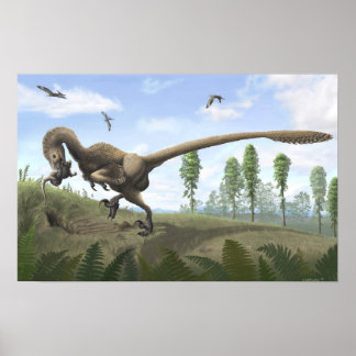 Affiche Saurornitholestes Imprimer