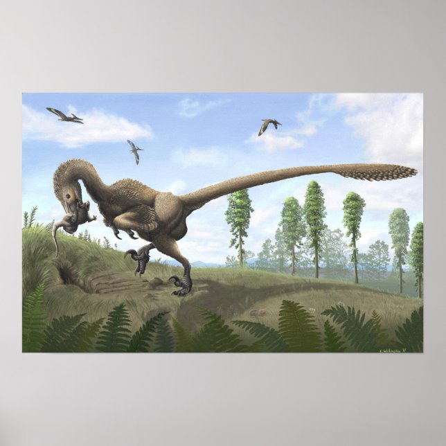 Affiche Saurornitholestes Imprimer (Devant)