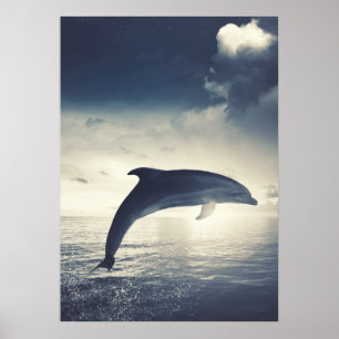 Affiche Sauter de dauphin de l'art de l'eau