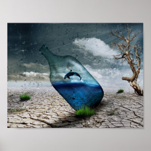 Affiche Sauter l'orque en bouteille