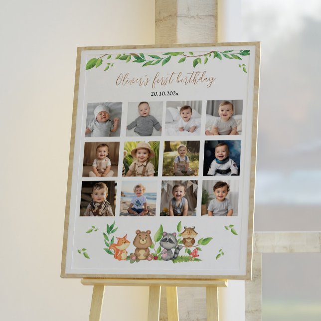 Affiche Sauvage boisé une première année Photo Jalon Signe (Créateur téléchargé)