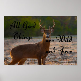 Affiche Sauvage et libre, Thoreau