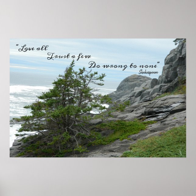 Affiche Sauvage Mer Shakespeare Ne vous trompez pas (Devant)