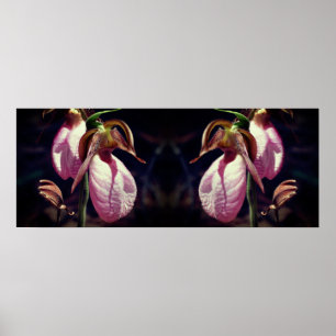 Affiche Sauvage rose Lady Slipper Orchid Pair Mirror