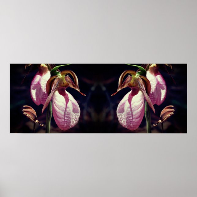 Affiche Sauvage rose Lady Slipper Orchid Pair Mirror (Devant)