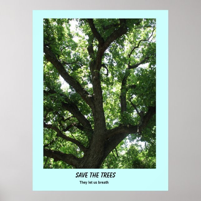 Affiche Sauver les Arbres (Devant)